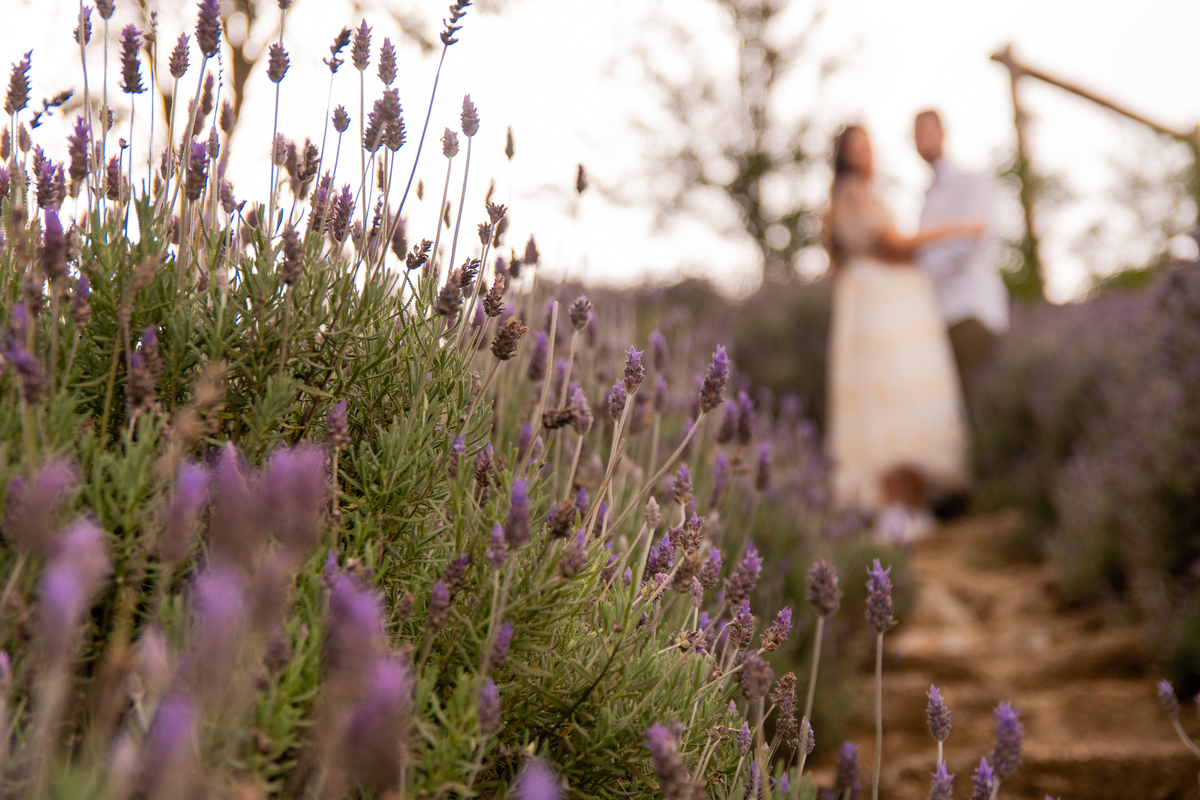 ensaio-pre-wedding-piedade-sitio-das-borboletas-jose-cicero-fotografia