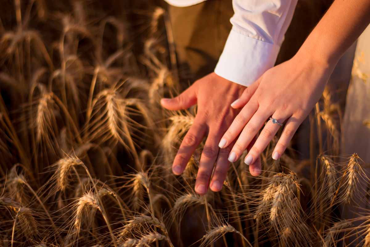 ensaio-pre-wedding-piedade-sitio-das-borboletas-jose-cicero-fotografia