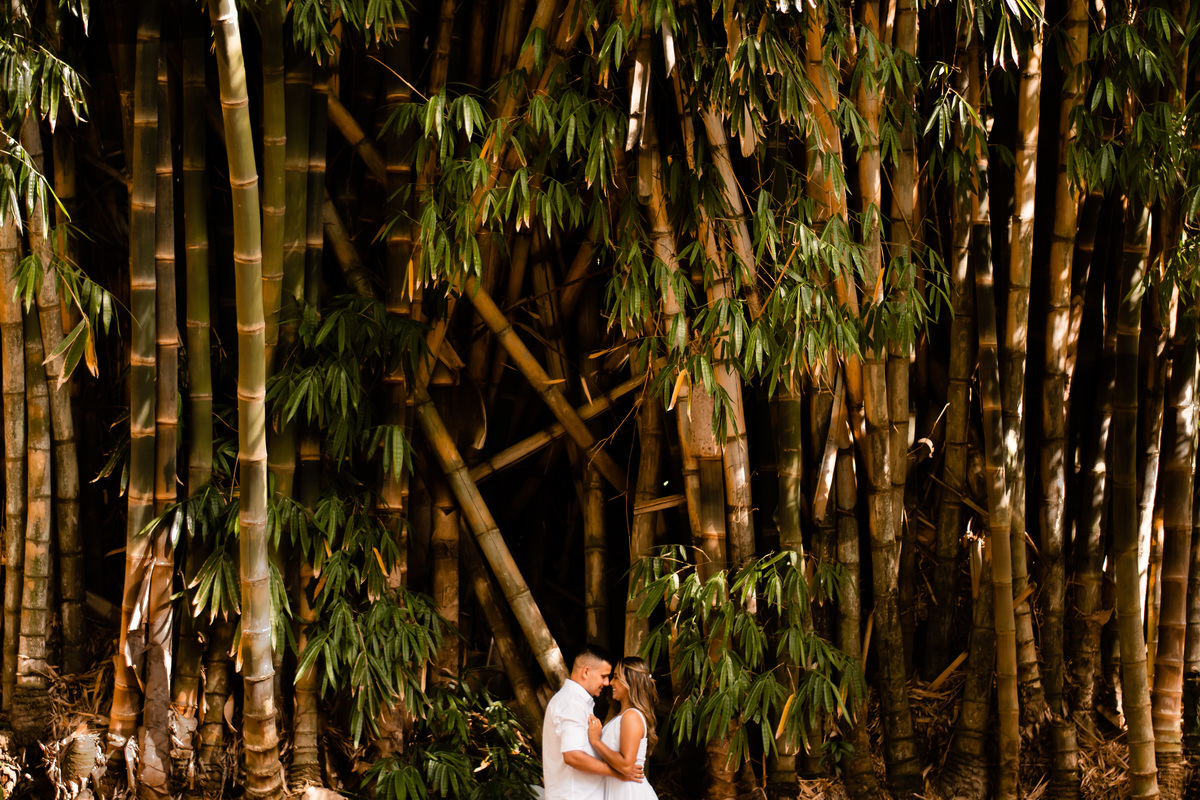 ensaio-pre-wedding-alice-elton-tatuí-jose-cicero-fotografia