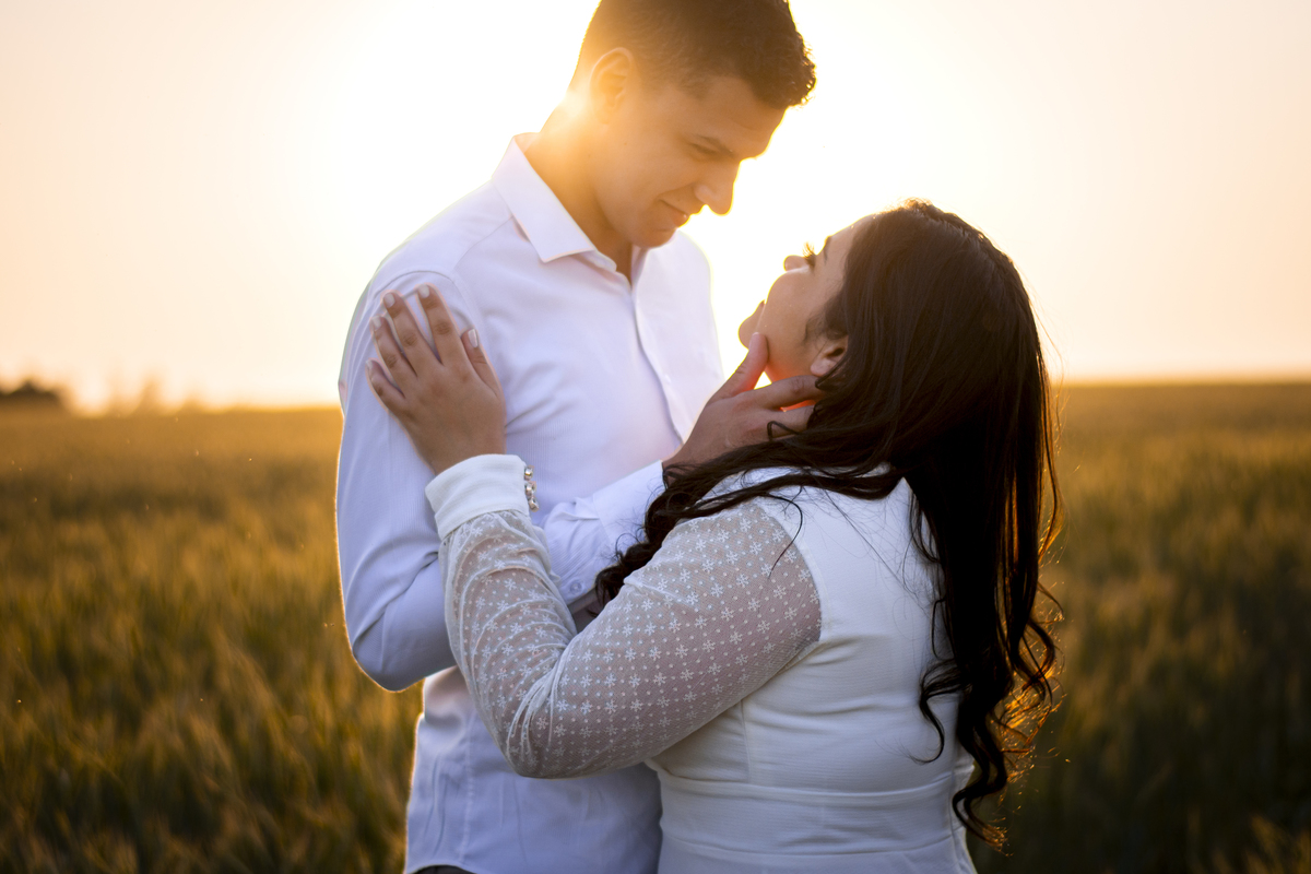 Campo de trigo em Cerquilho