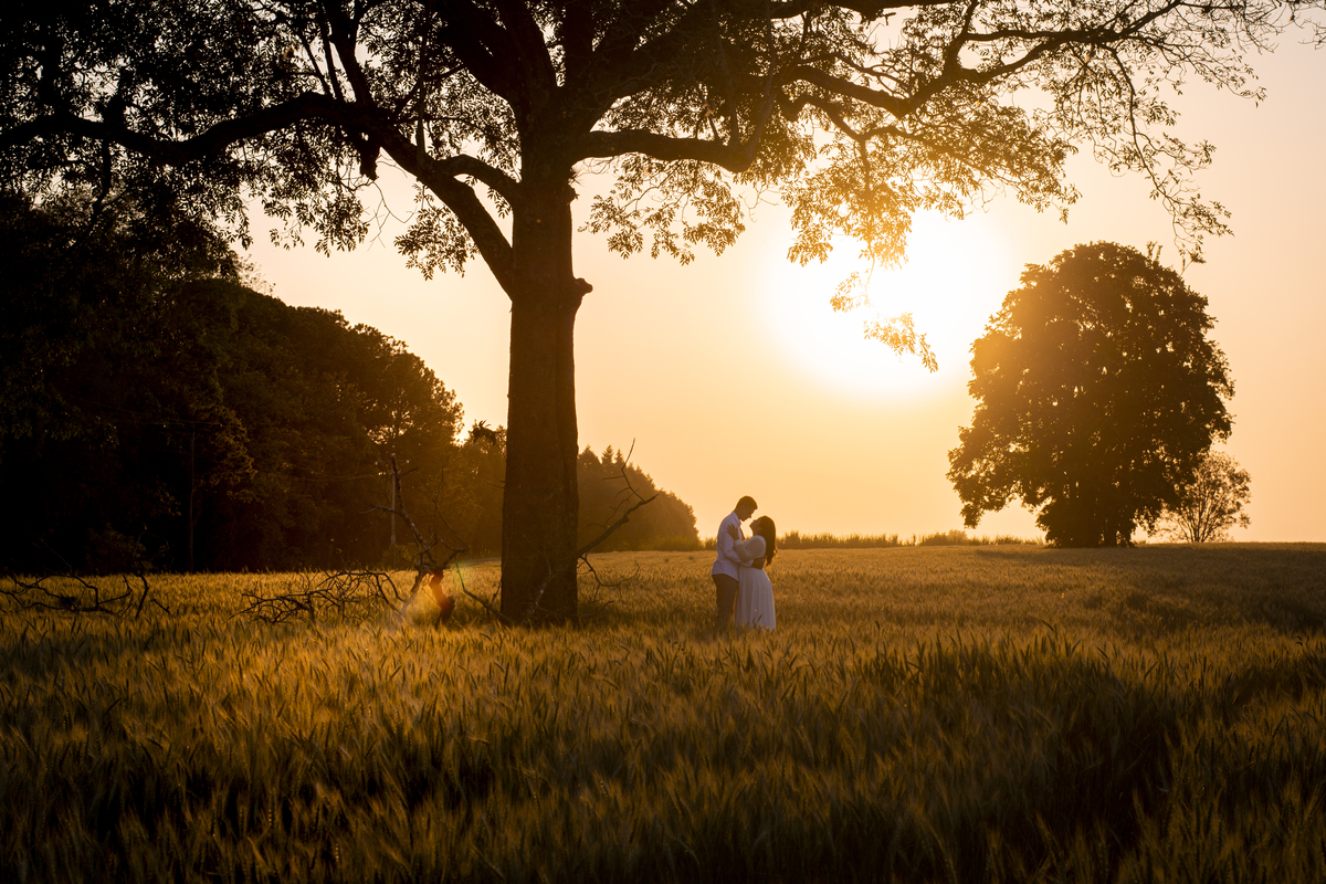 Silhueta em campo de trigo em Cerquilho
