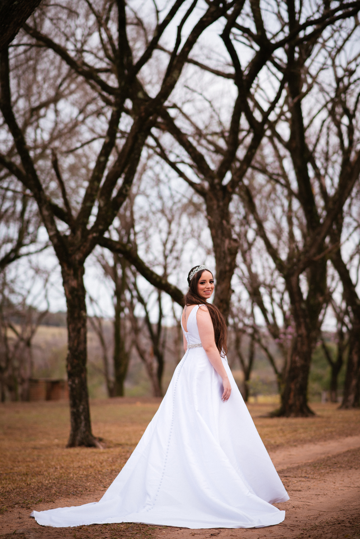 jose cicero fotografia