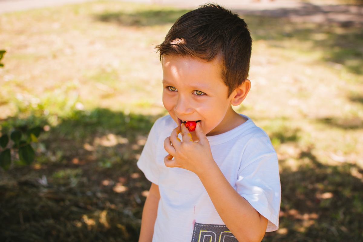 ensaio-gestante-cerquilho-jose-cicero-fotografia