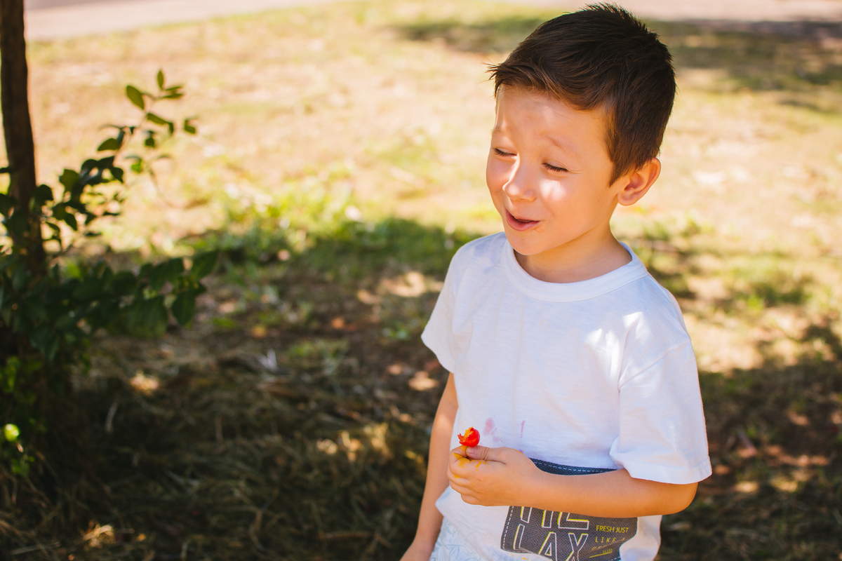 ensaio-gestante-cerquilho-jose-cicero-fotografia