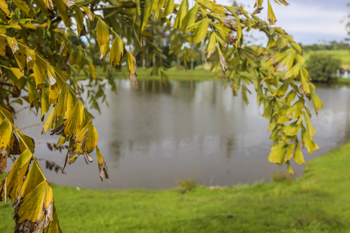 Fotos Casamento Casal Noivos Kayene & Kaique na Fazenda na cidade de Itapira SP Matrimonio religiao Evangelica fotografia de Casamento de Dia Fotografo Denis Silveira Wedding Photography