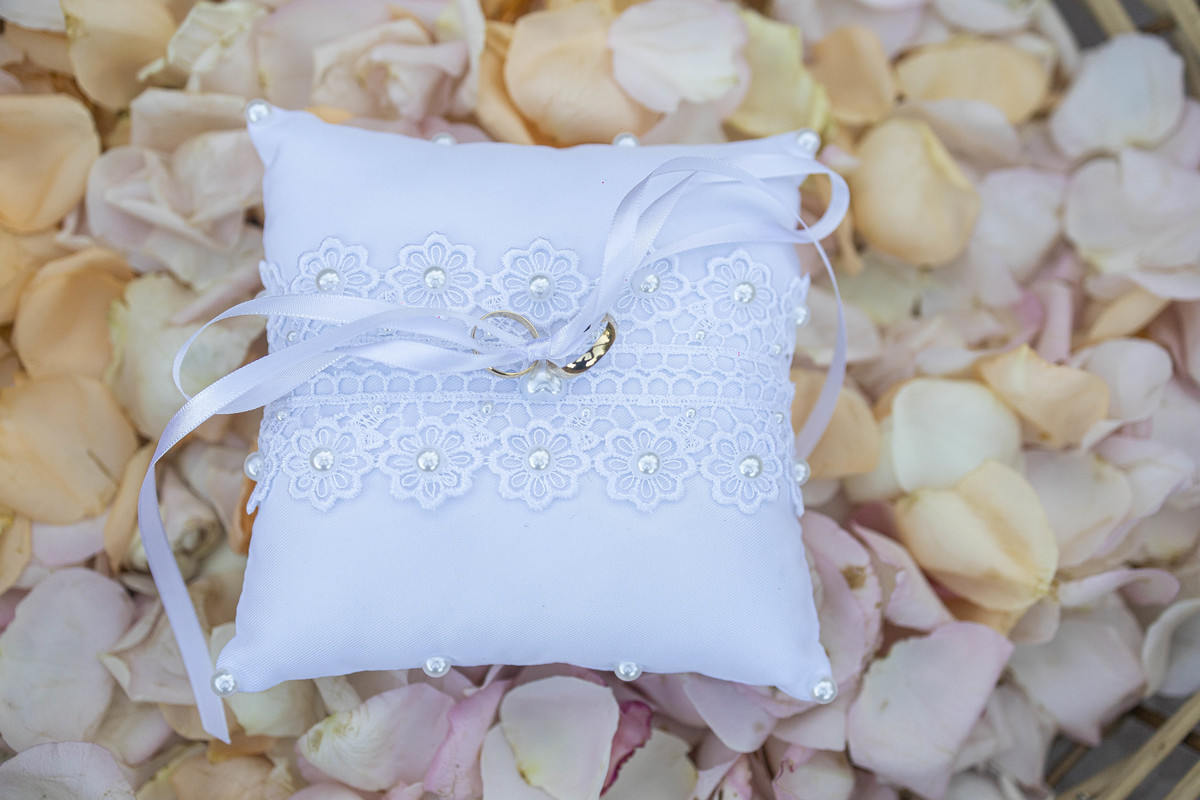 Fotografia Casamento Casal Noivos Andreza e Joseph em Nova Odessa SP Espaço Millenium Festas fotos pelo Fotógrafo Denis Silveira Wedding Photography