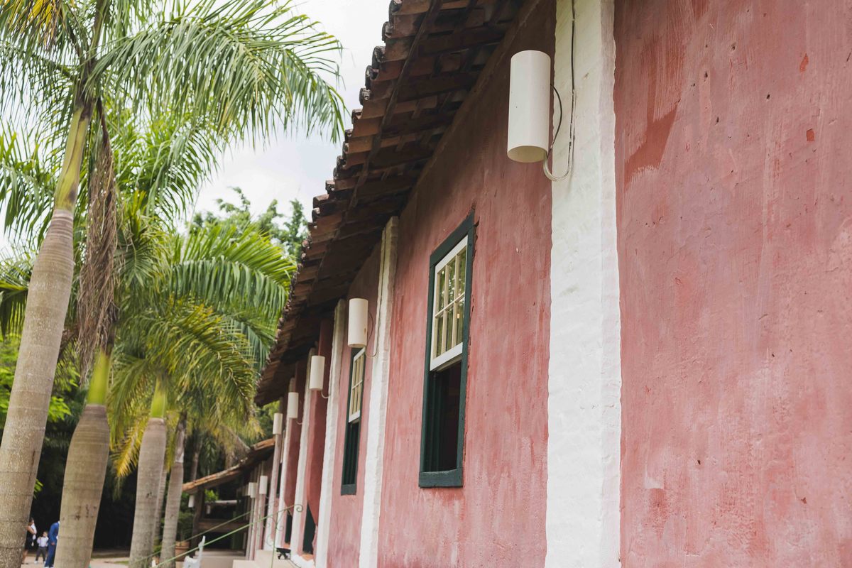 fotos casamento de dia realizado na fazenda vila rosada em Joaquim Egidio SP do casal de noivos Carol e Rafael pelo fotografo Denis Silveira Especializado em Fotografia de Casamentos em Fazenda