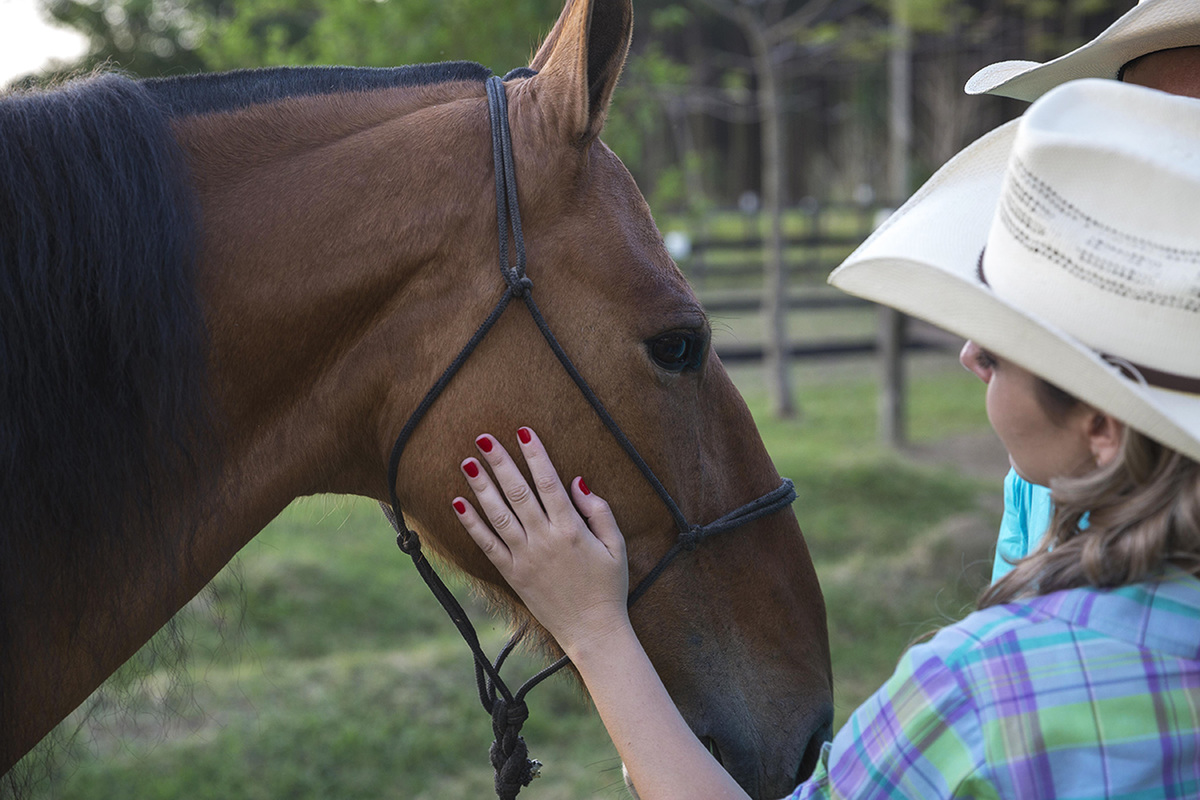 cavalo de fazenda recebe carinho da noiva juliana em ensaio country em valinhos sp