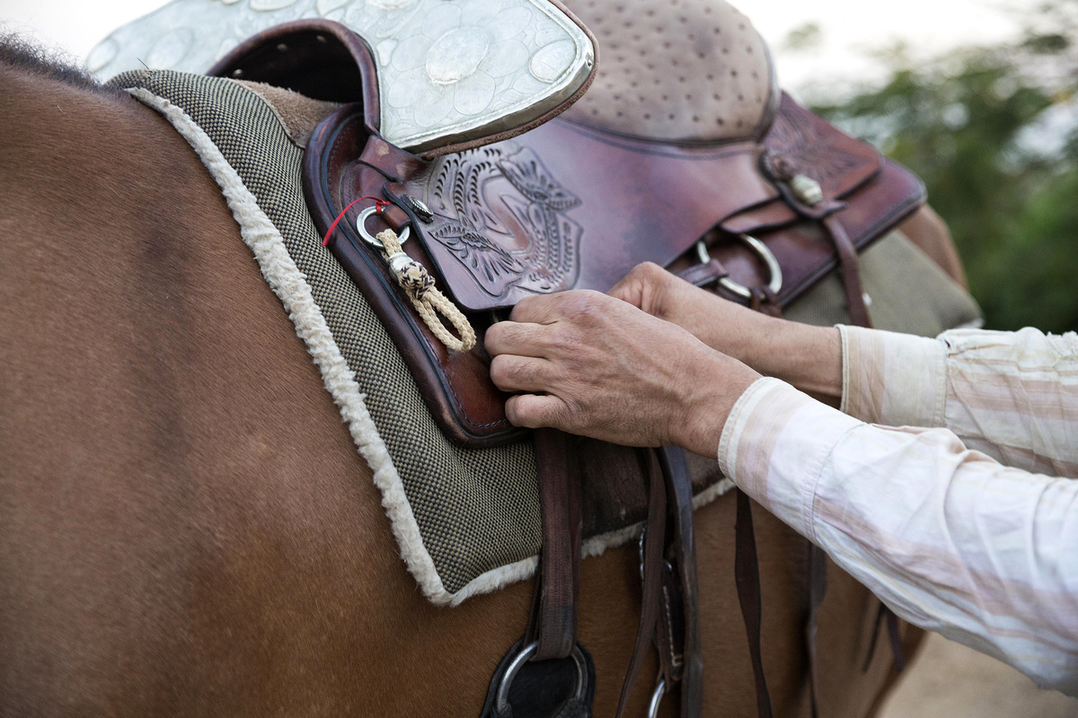 arrumando a selagem em cavalo