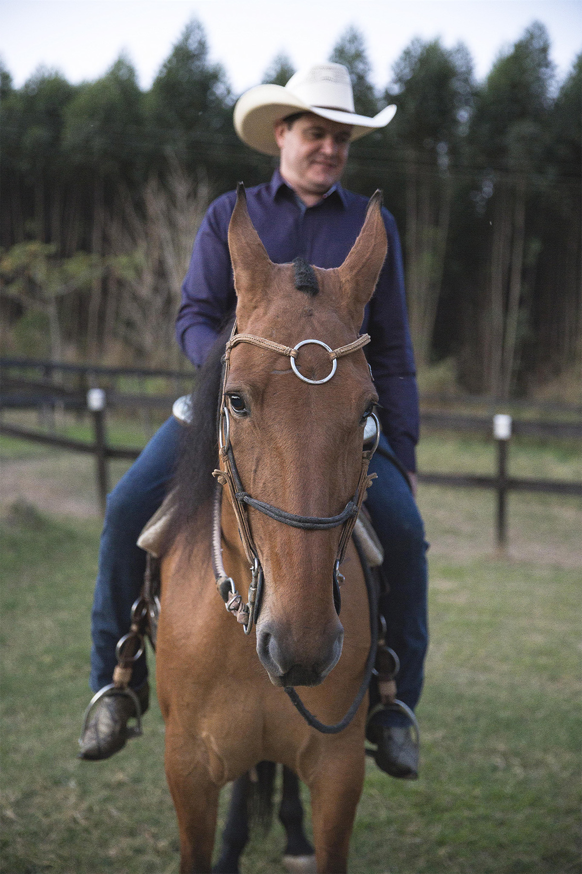 noivo montado em cavalo