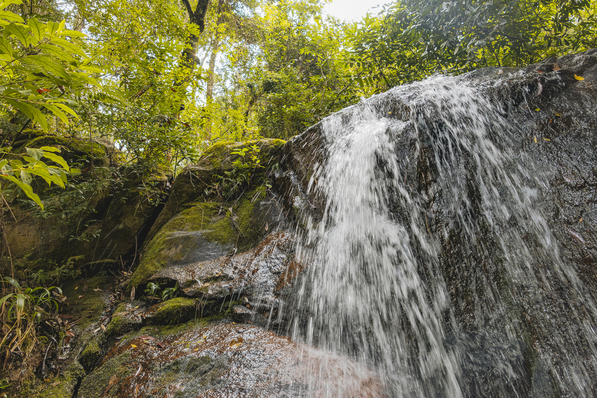 Fotos Casamento Casal Noivos Lauren e Thiago em Poços de Caldas Minas Gerais cidade do interior de MG imagens pelo fotografo Denis Silveira Especializado em Casamentos