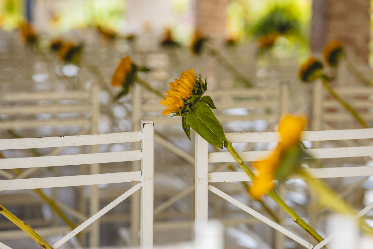 Fotos Casamento Casal Noivos Lauren e Thiago em Poços de Caldas Minas Gerais cidade do interior de MG imagens pelo fotografo Denis Silveira Especializado em Casamentos