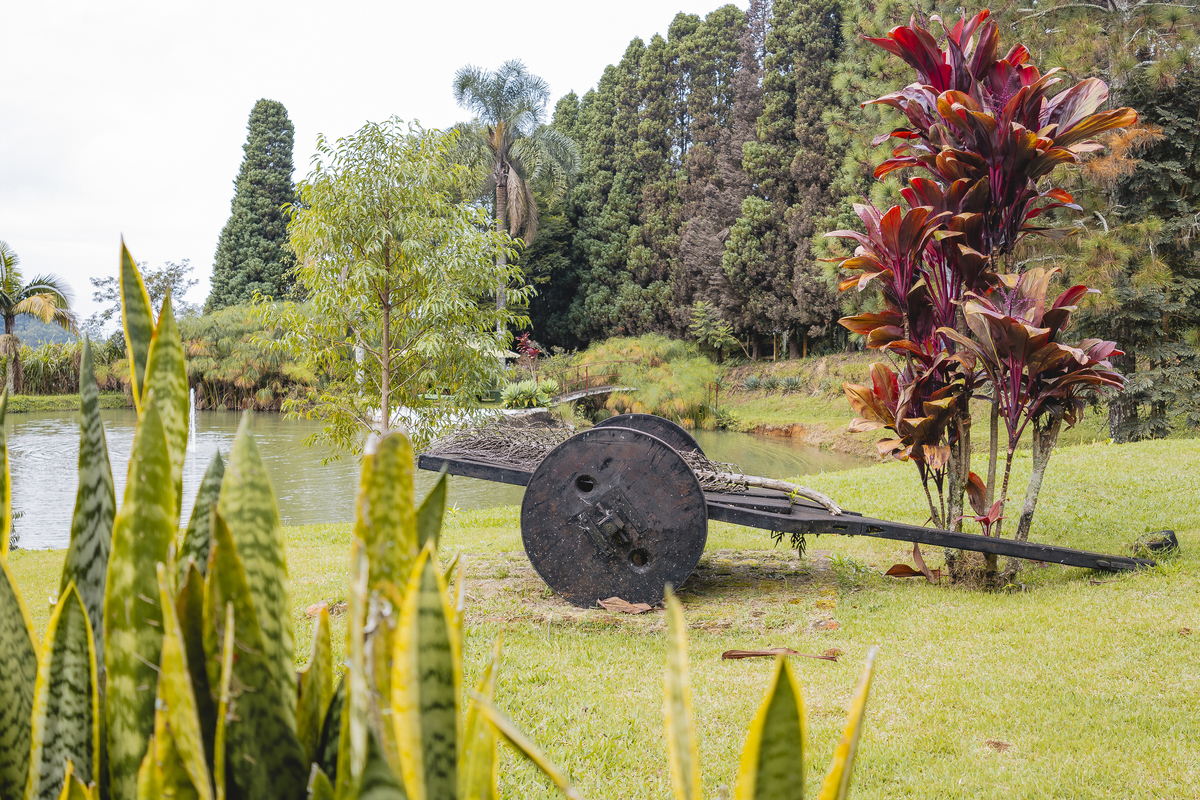Fotos Casamento Casal Noivos Lauren e Thiago em Poços de Caldas Minas Gerais cidade do interior de MG imagens pelo fotografo Denis Silveira Especializado em Casamentos