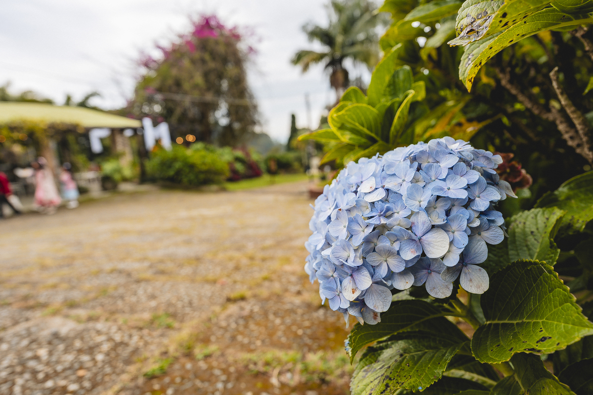 Fotos Casamento Casal Noivos Lauren e Thiago em Poços de Caldas Minas Gerais cidade do interior de MG imagens pelo fotografo Denis Silveira Especializado em Casamentos