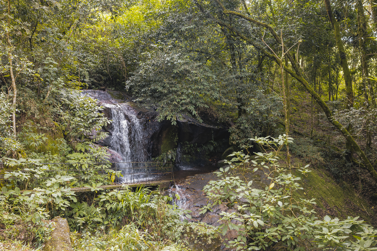Fotos Casamento Casal Noivos Lauren e Thiago em Poços de Caldas Minas Gerais cidade do interior de MG imagens pelo fotografo Denis Silveira Especializado em Casamentos