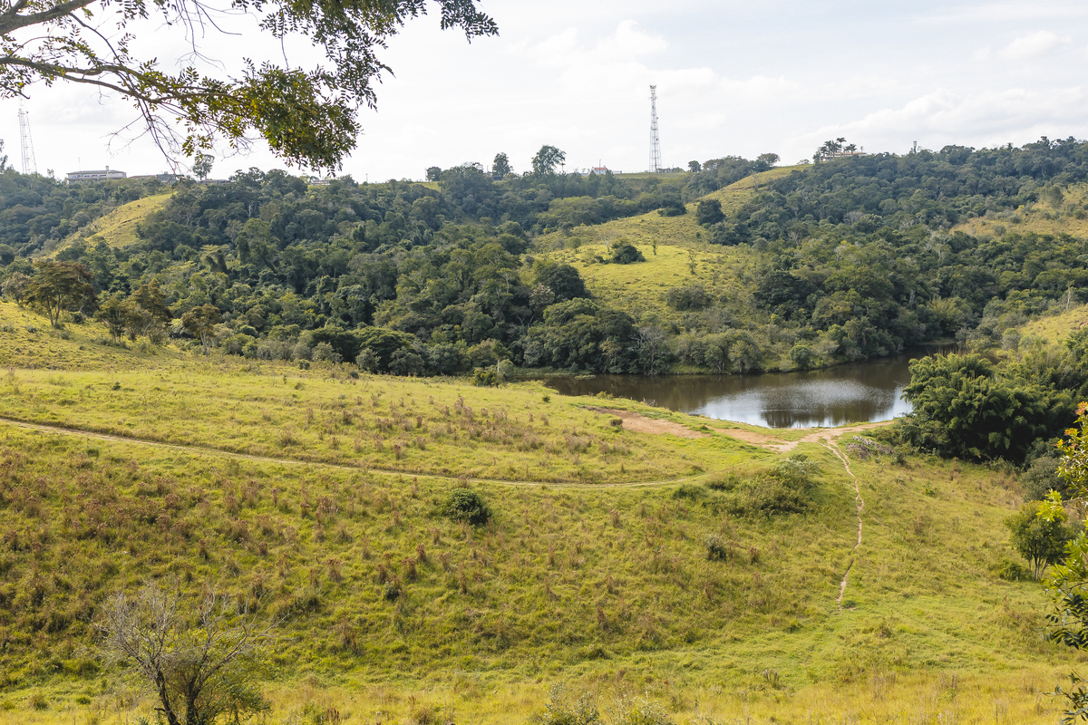 Fotos Casamento em Fazenda São José Evento em Aracoiaba da Serra SP Casal de Noivos Vanessa e Luiz Carlos Cerimonia de Matrimonio de Dia no Campo ao Ar livre Imagens pelo Fotografo Denis Silveira Especializado em Fotografia de Casamentos