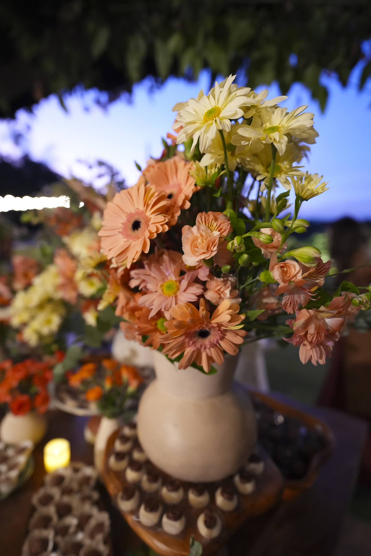 Fotos Casamento em Fazenda São José Evento em Aracoiaba da Serra SP Casal de Noivos Vanessa e Luiz Carlos Cerimonia de Matrimonio de Dia no Campo ao Ar livre Imagens pelo Fotografo Denis Silveira Especializado em Fotografia de Casamentos