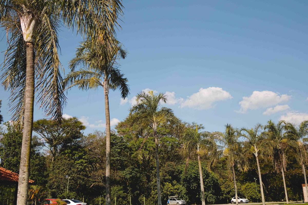 Fotos Casamento Itupeva SP Lagoa Santa Rita Eventos Casal Noivos Caroline e Kaue Casamento ao Ar Livre imagens pelo Fotografo Denis Silveira Especializado em Casamentos