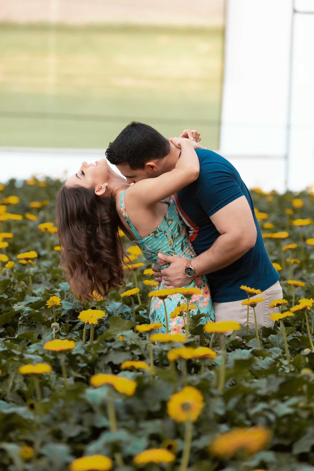 fotos de ensaio pré wedding do casal de noivos regiane e fabio em holambra cidade das flores fotografia pelo fotógrafo denis silveira