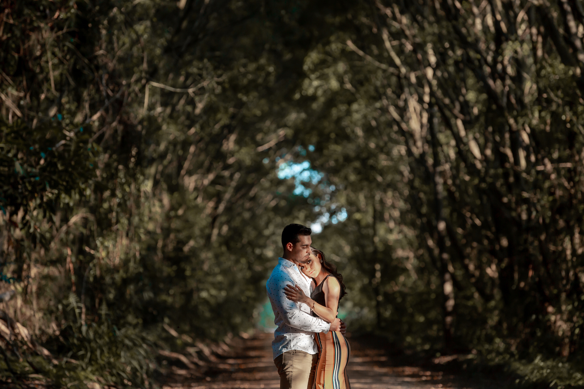 fotos de ensaio pré wedding do casal de noivos regiane e fabio em holambra cidade das flores fotografia pelo fotógrafo denis silveira