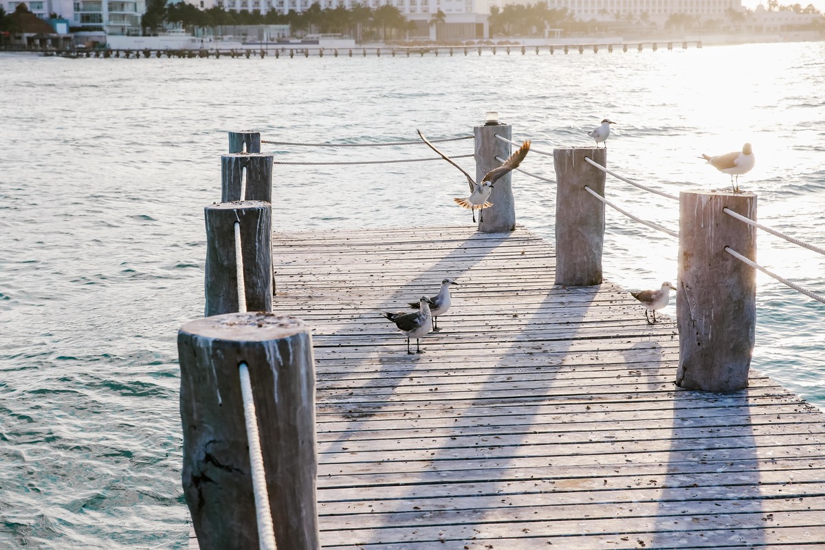 ensaio de casal pre wedding pricila e rafael na praia em cancun mexico no hotel hyatt ziva all inclusive fotos do fotografo denis silveira fotografia