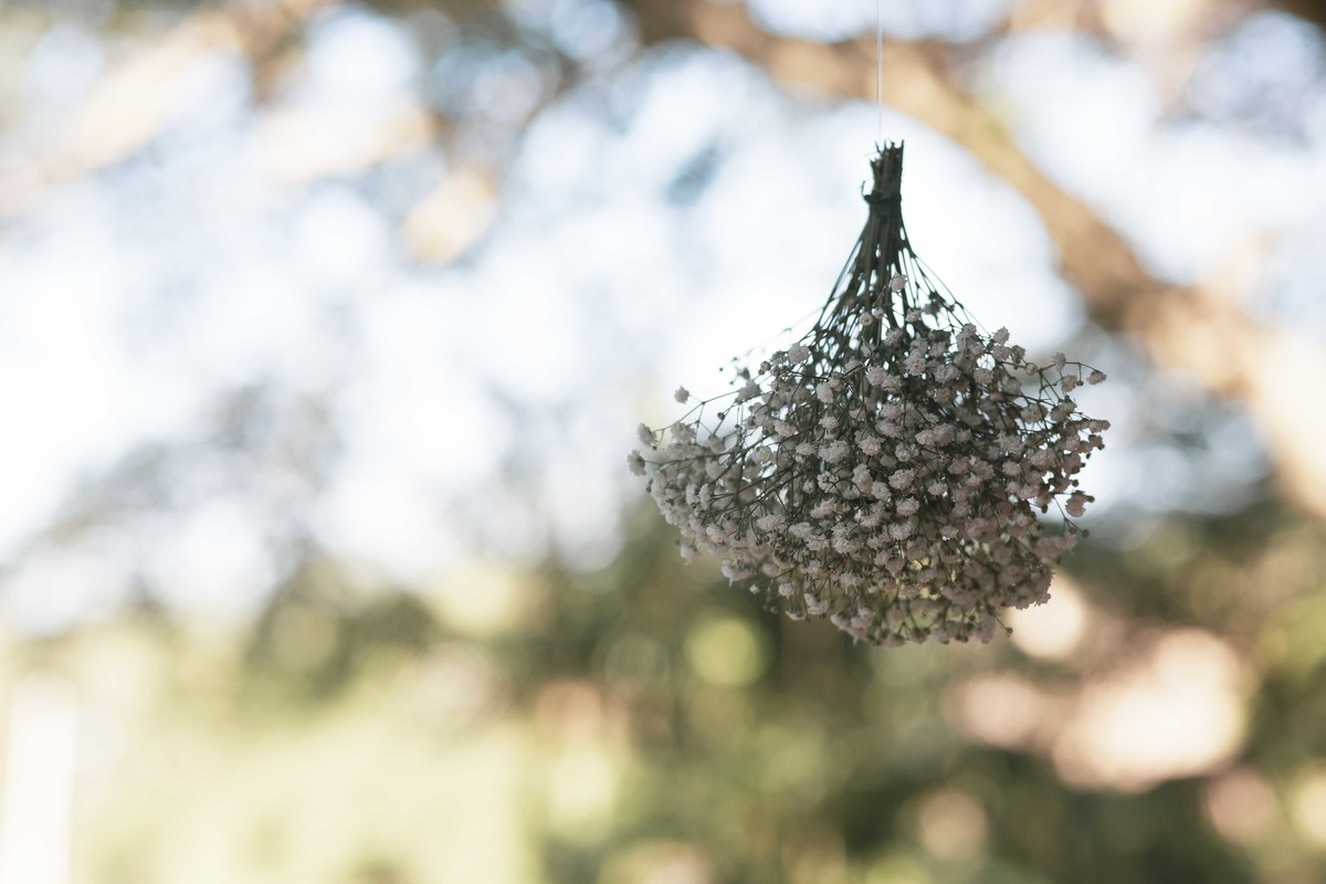 fotografia casamento de dia em fazenda do casal de noivos milena e andre em valinhos sp fotos pelo fotografo denis silveira
