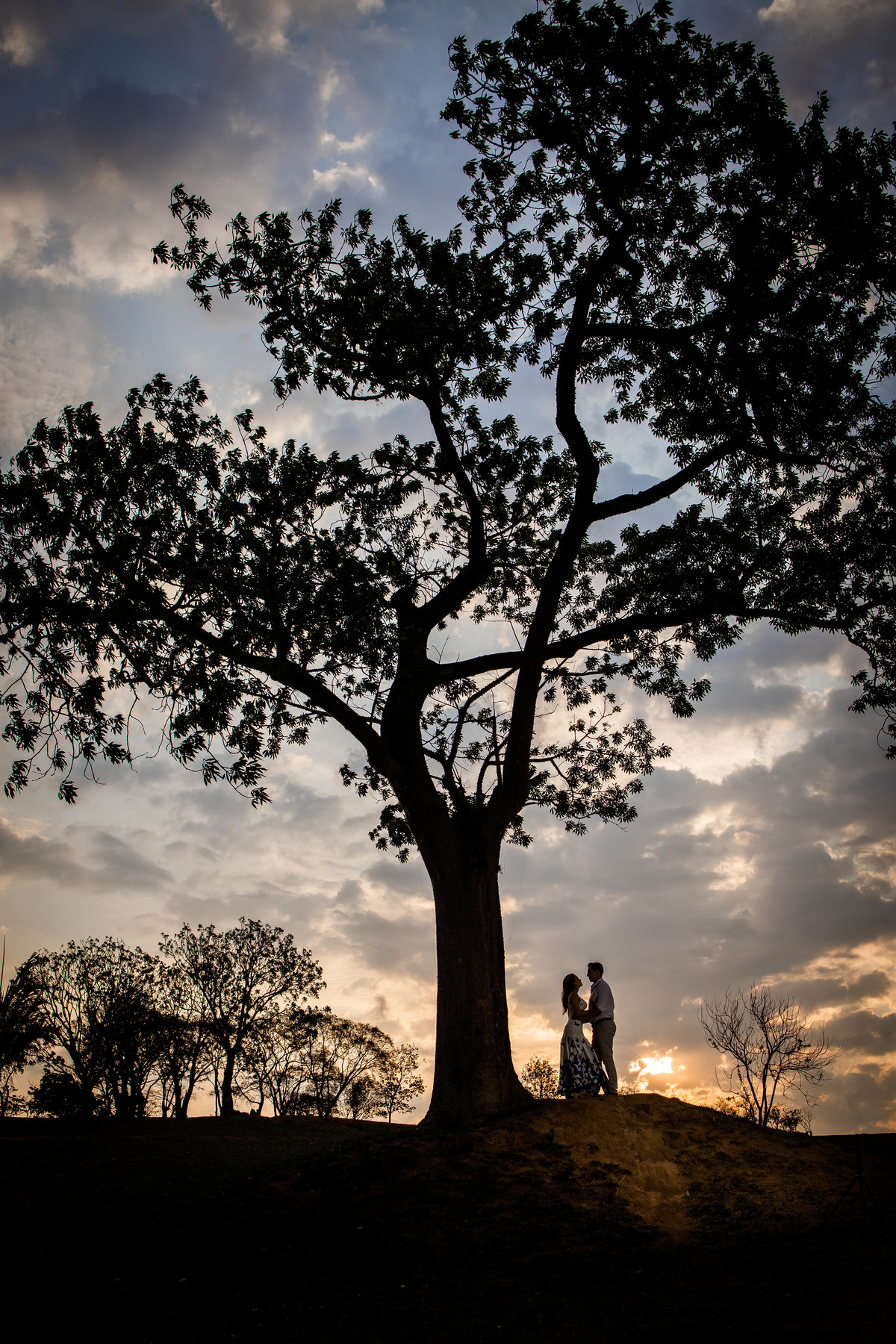 ensaio de casal de noivos isabel e renan pre wedding em parque ecologico em campinas/sp fotografia pelo fotografo denis silveira