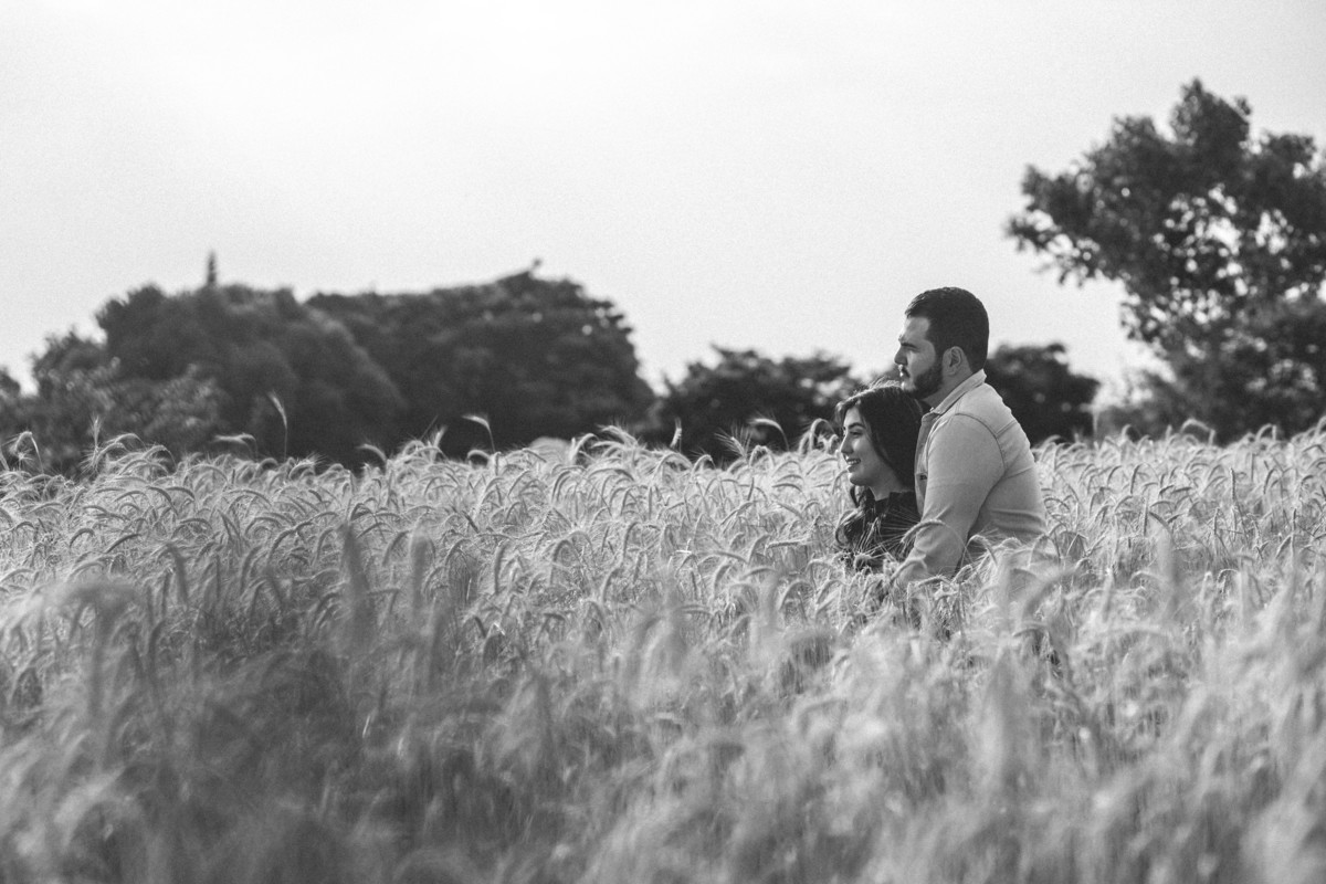 fotografia de ensaio de casal pre wedding em holambra sp cidade das flores imagens pelo fotografo denis silveira