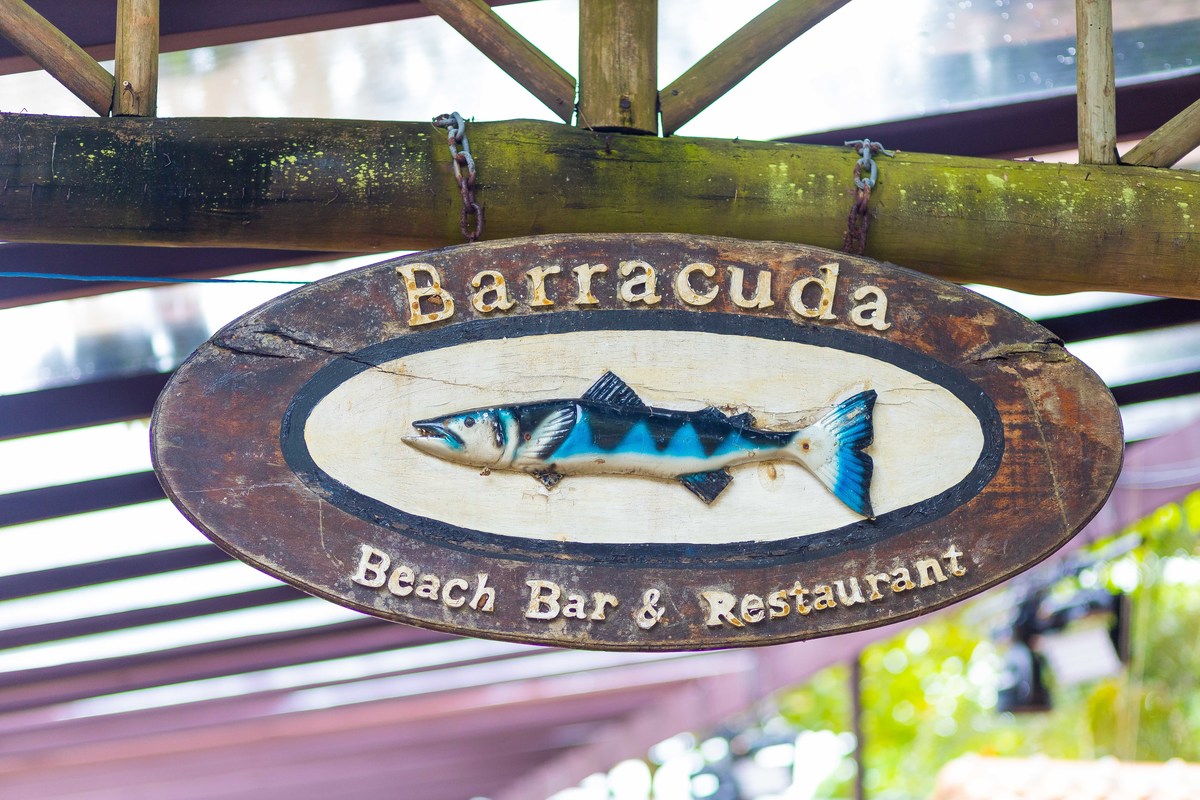 Beach Wedding Photography fotos de casamento na praia em toque toque pequeno litoral de sp casal de noivos Jessica e Thiago matrimonio pé na areia recepcao Barracuda Beach Bar de frente ao mar fotografo Denis Silveira Fotografia