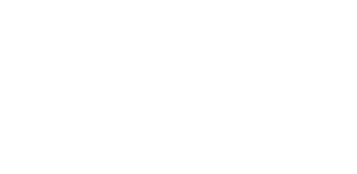 Logotipo de Karina Brandão