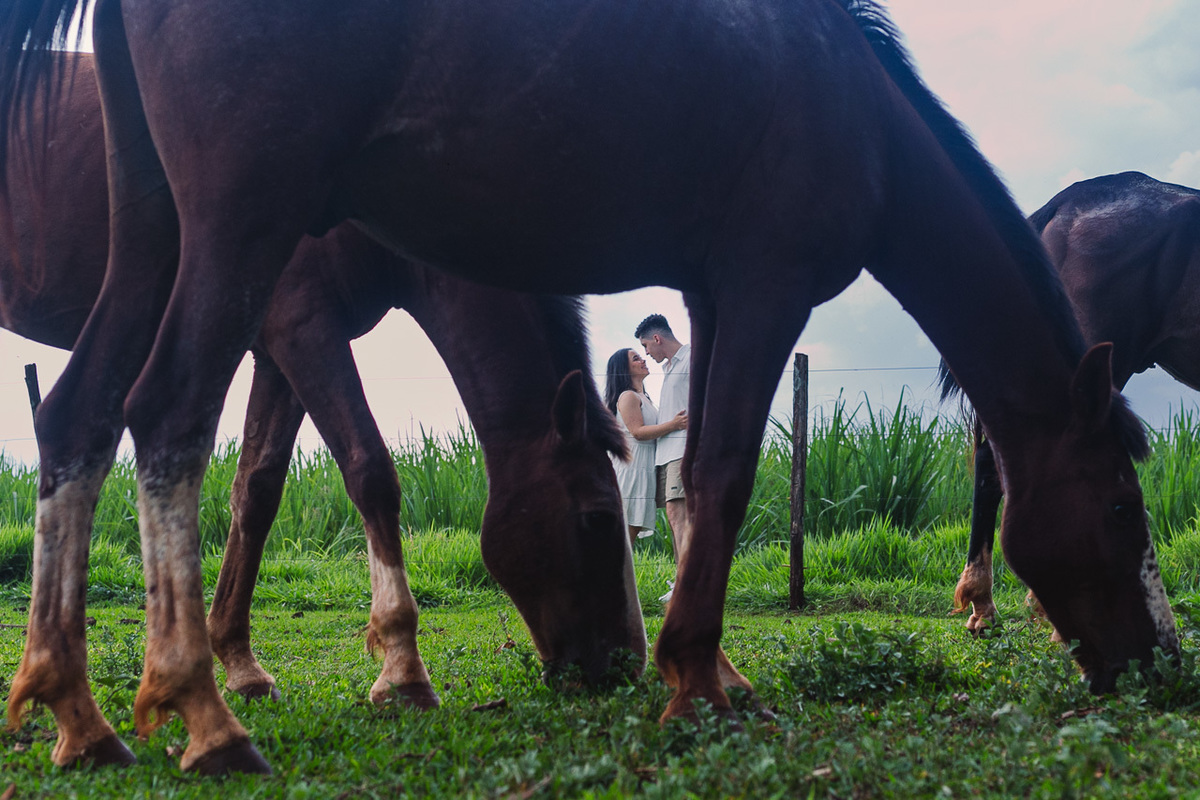 Ensaio Pré Wedding com cavalos