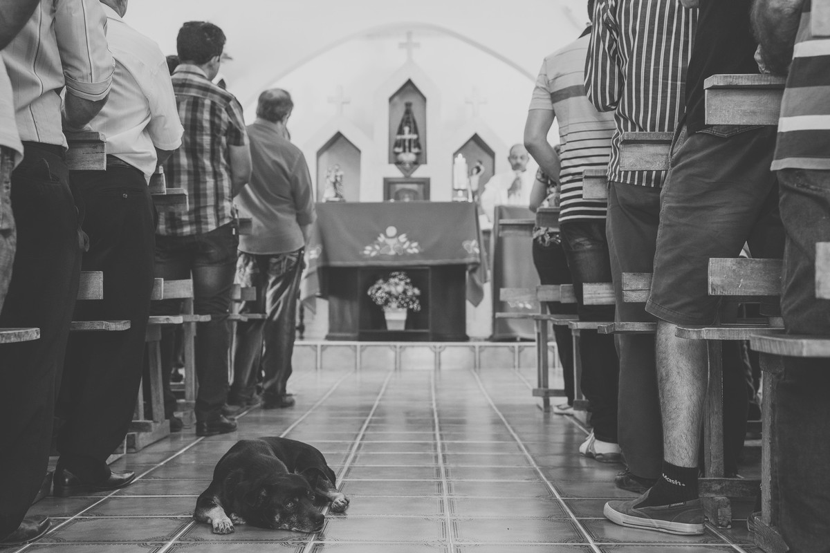 Cachorro dormindo no corredor da igreja