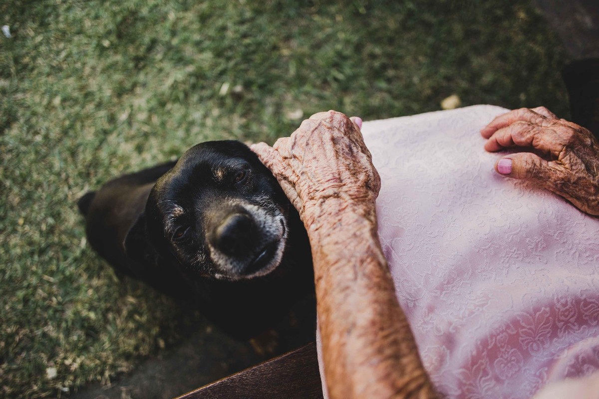 Fotografia de pet com a senhora fazendo carinho no cachorrinho