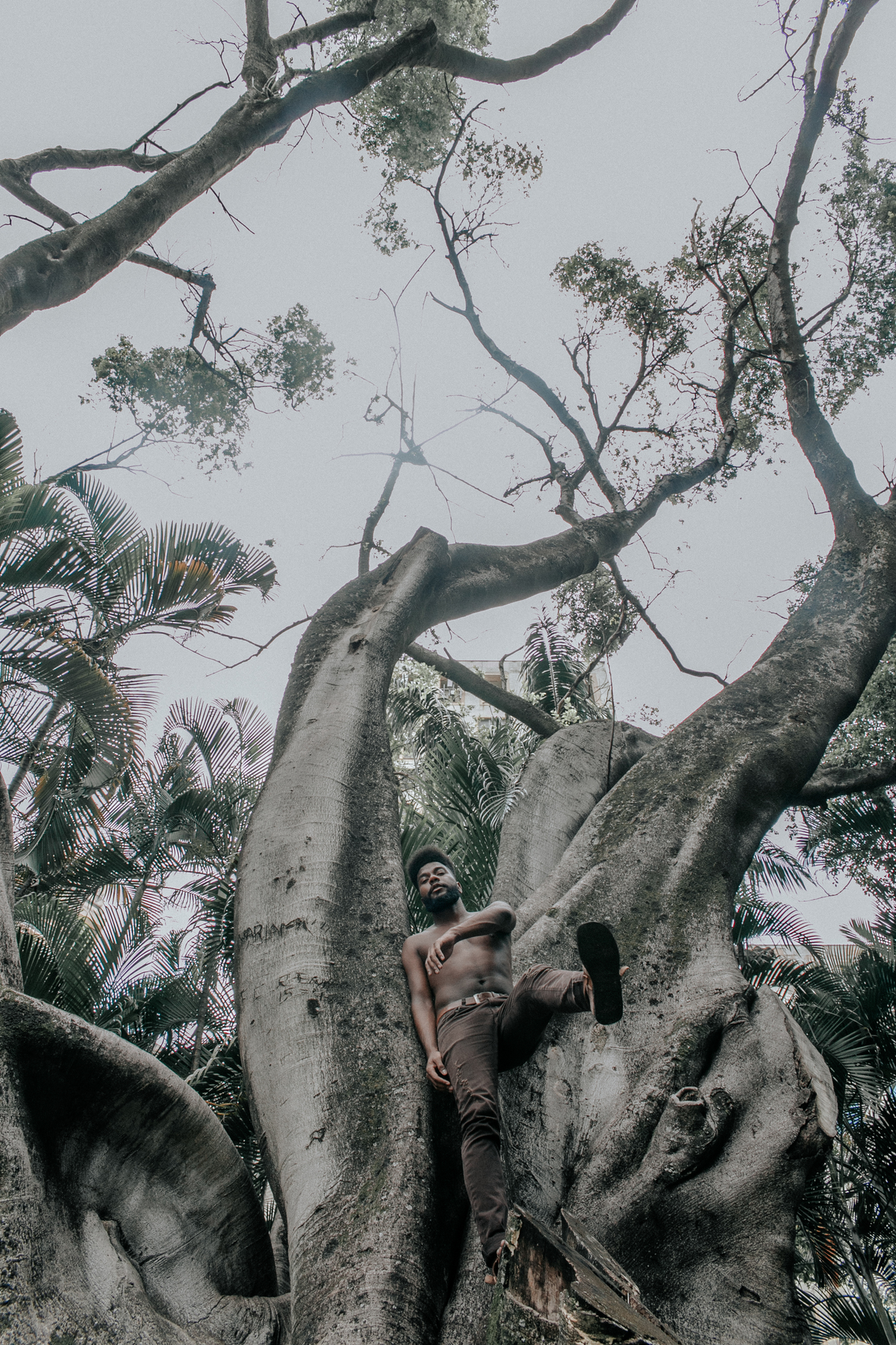 ensaio masculino afro em belo horizonte