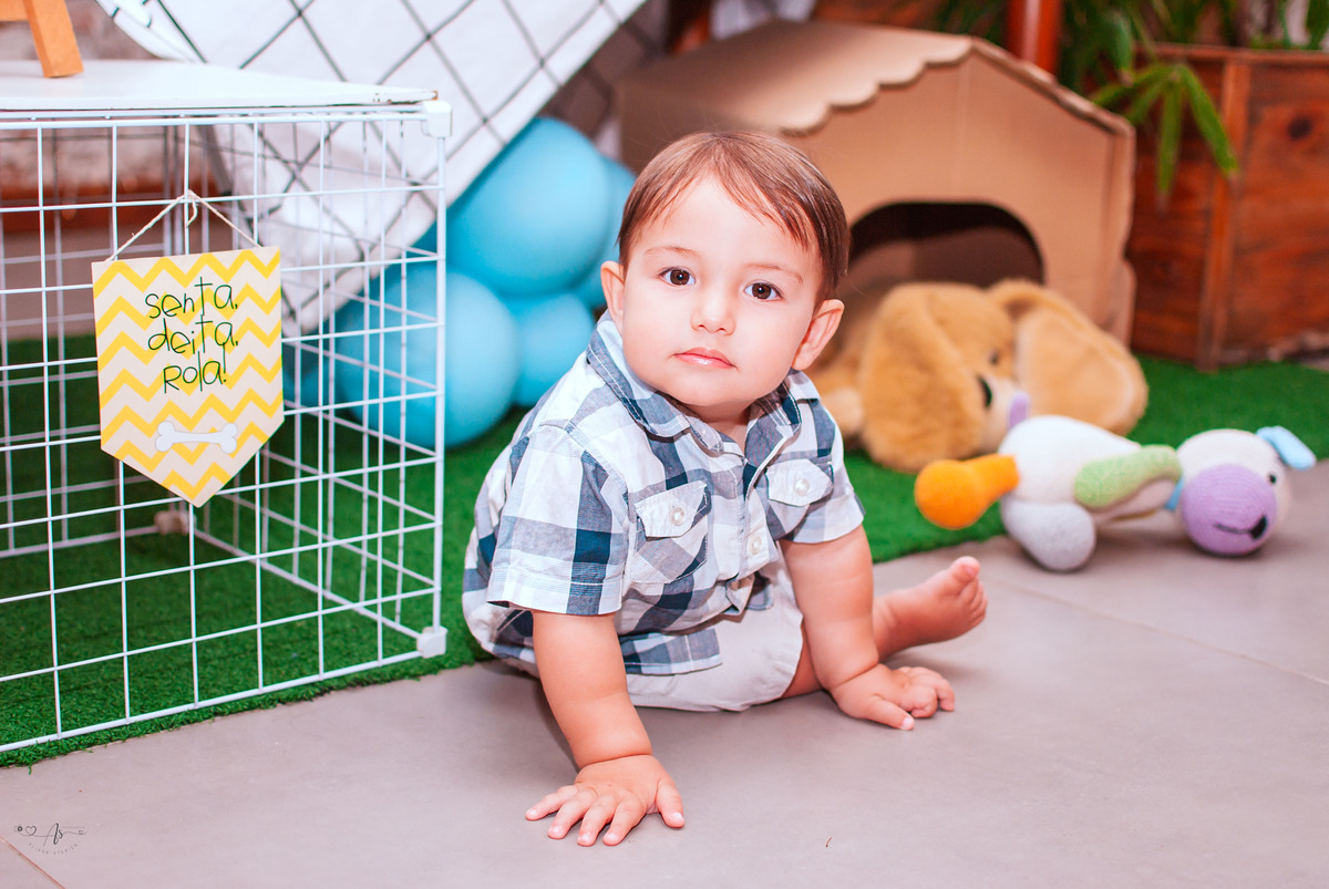 meuprimeiroaniversarioisaque
