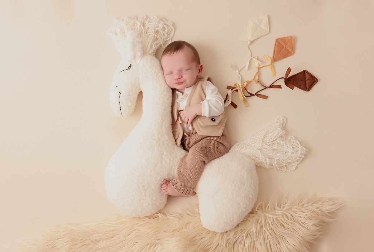 Fotografia newborn menino 