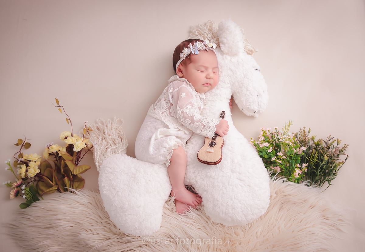 Ensaio newborn no cavalinho