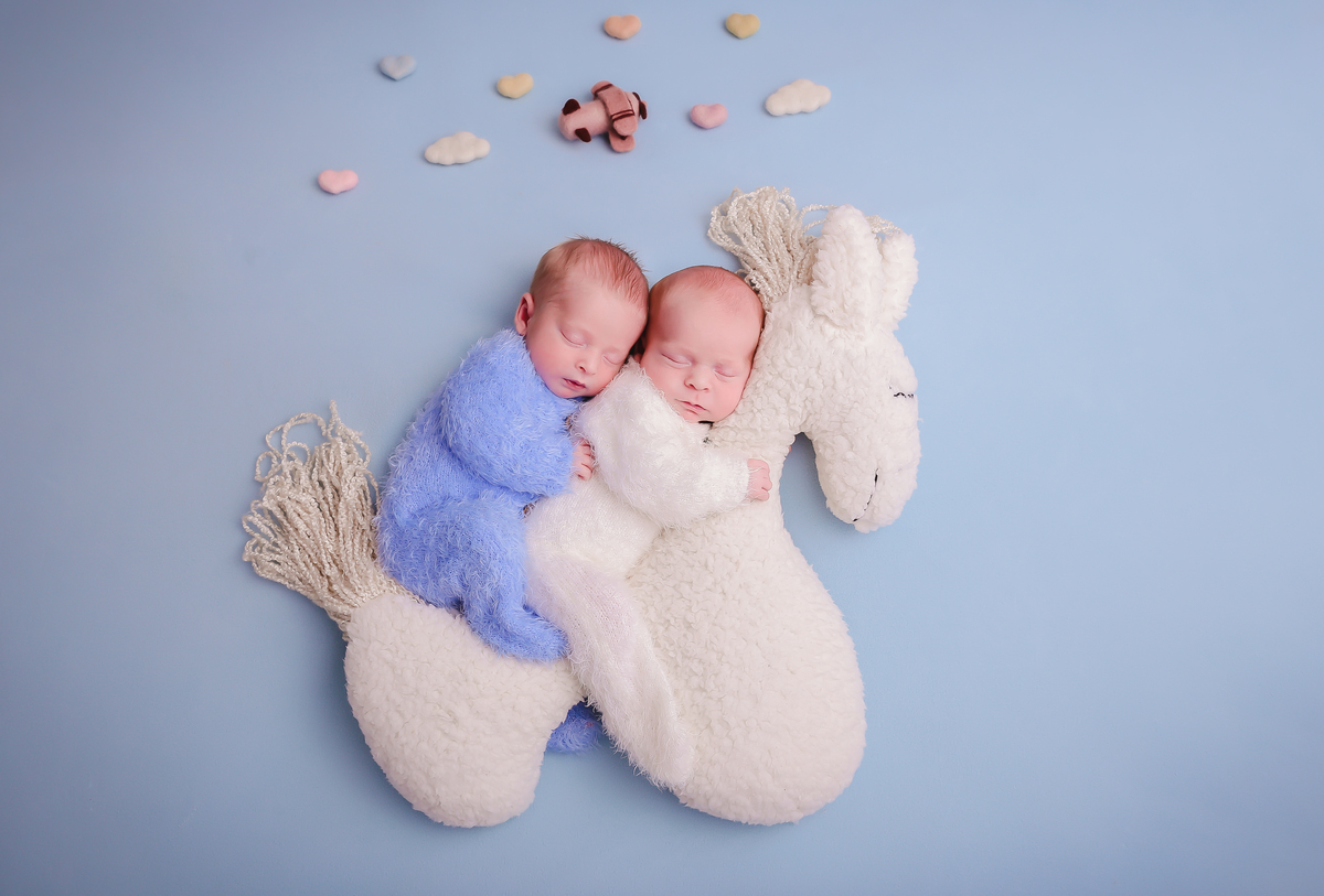 Ensaio Newborn gêmeos no cavalinho