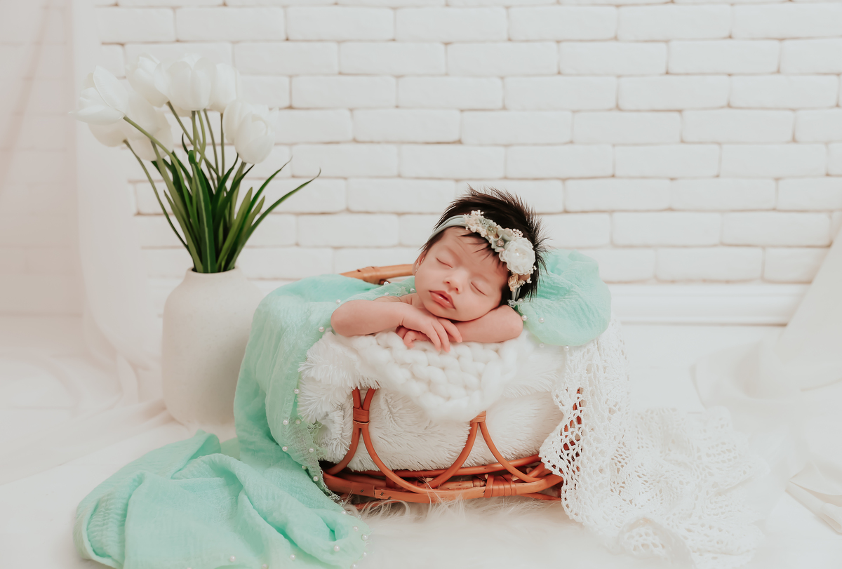 Fotos de bebe no cesto