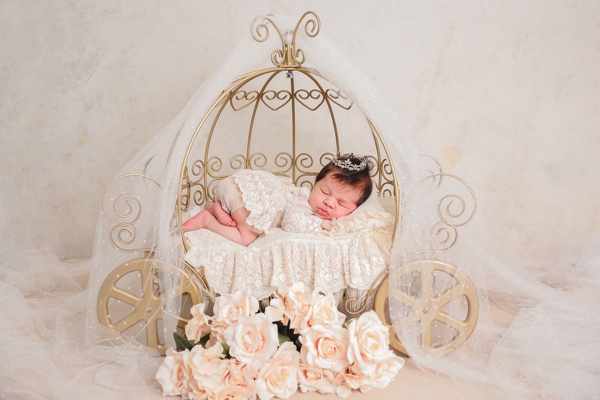 Foto de bebe na carruagem