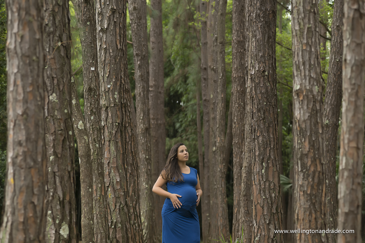 book de gestante, book de grávida, book de gestante no parque, book de gestante externa, book de gestante campinas, book de gestante alpha vile, book de gestante alphavile, ensaio de gestante, ensaio de gestante campinas, ensaio de gestante sp, ens