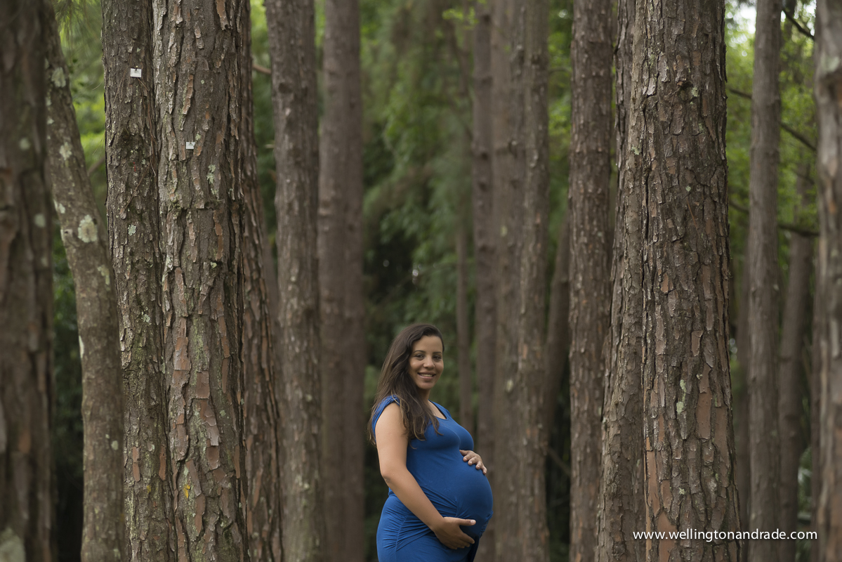 book de gestante, book de grávida, book de gestante no parque, book de gestante externa, book de gestante campinas, book de gestante alpha vile, book de gestante alphavile, ensaio de gestante, ensaio de gestante campinas, ensaio de gestante sp, ens