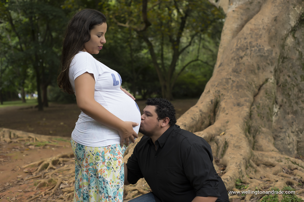 book de gestante, book de grávida, book de gestante no parque, book de gestante externa, book de gestante campinas, book de gestante alpha vile, book de gestante alphavile, ensaio de gestante, ensaio de gestante campinas, ensaio de gestante sp, ens
