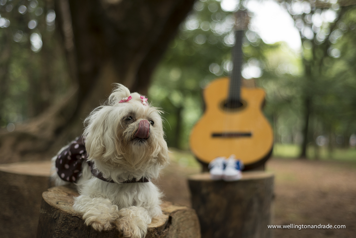book de gestante, book de grávida, book de gestante no parque, book de gestante externa, book de gestante campinas, book de gestante alpha vile, book de gestante alphavile, ensaio de gestante, ensaio de gestante campinas, ensaio de gestante sp, ens