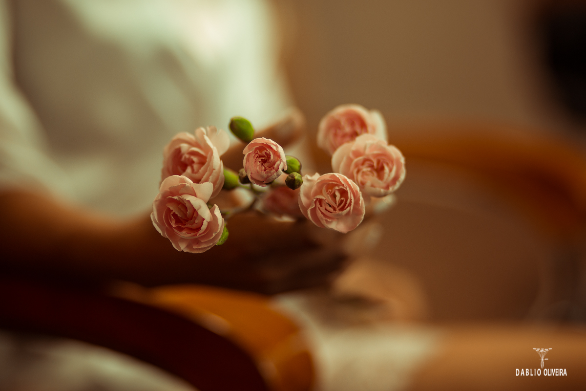 Fotógrafo Casamento Blumenau