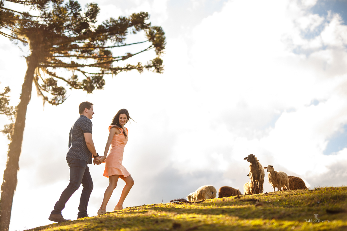 Fotógrafo Casamento Blumenau Wedding Noivas