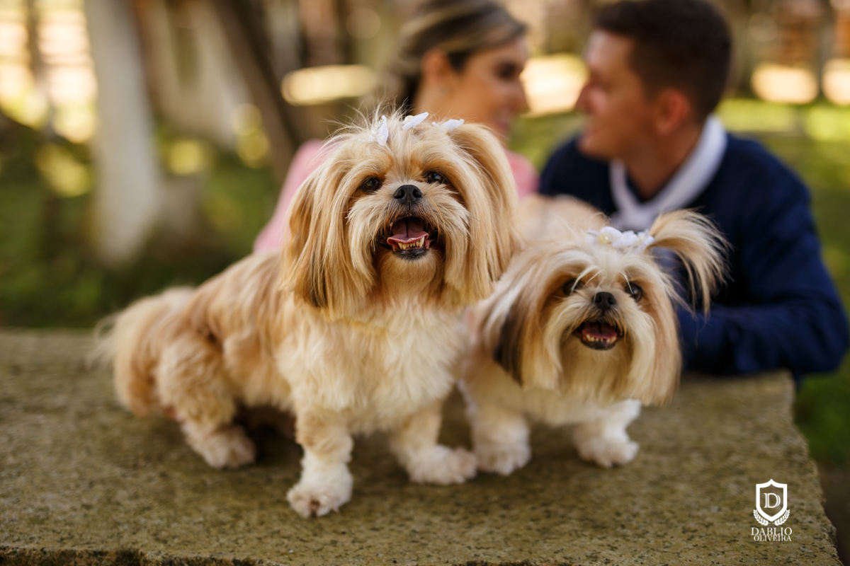 Fotografo Casamento Blumenau Destination Wedding  Bride Noiva Vestido Santa Catarina Fotografias Casando Casar