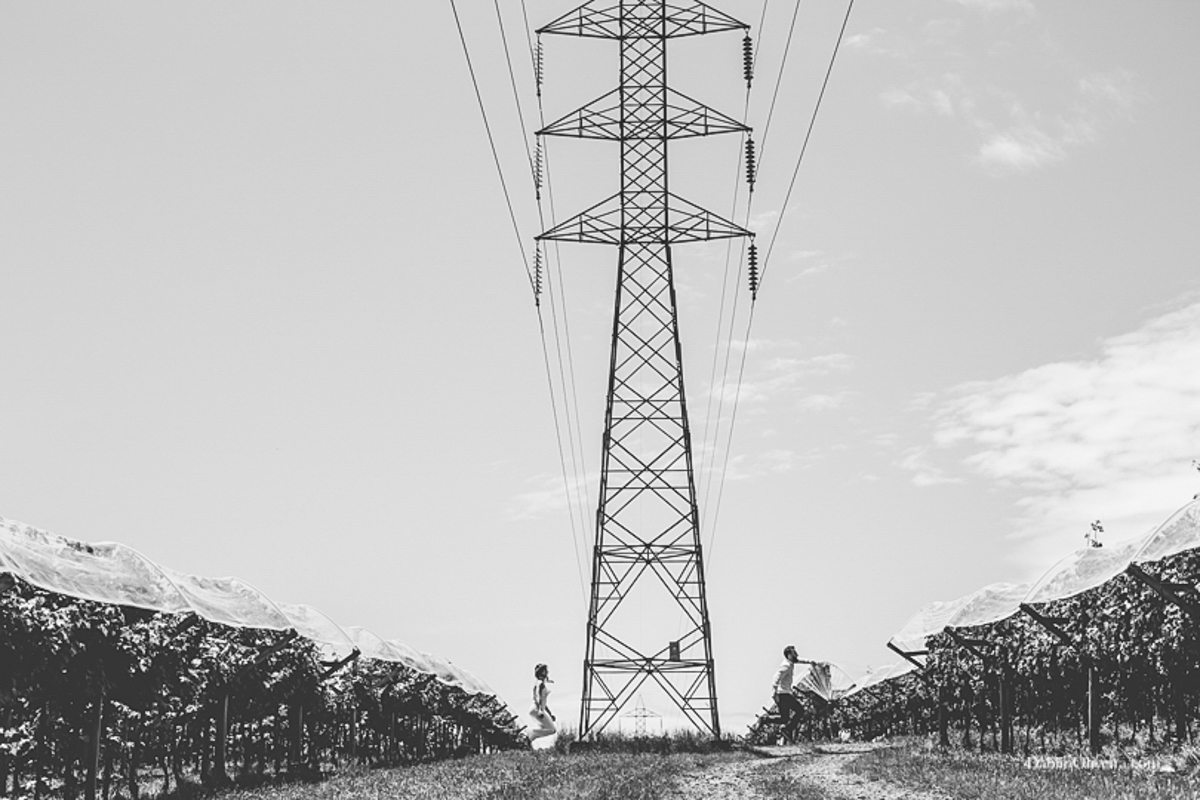 Fotógrafo Casamento Ensaio Blumenau