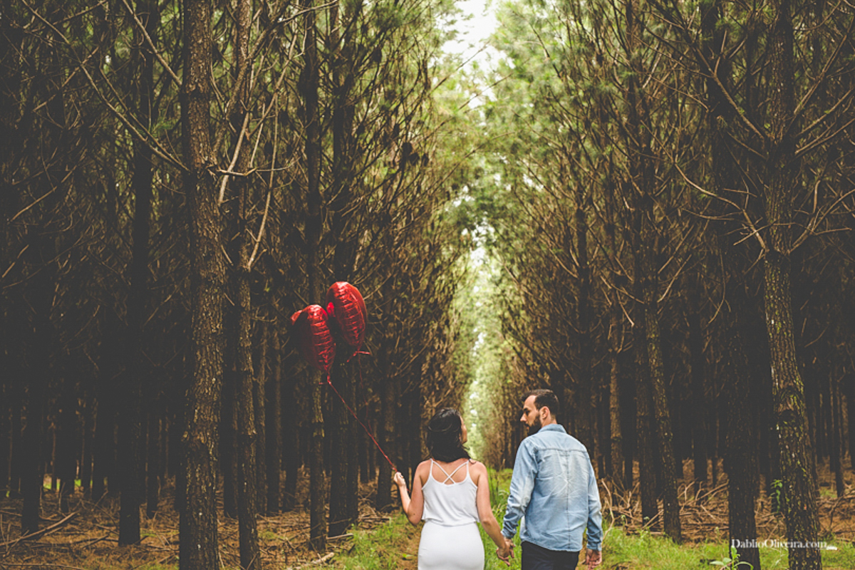 Fotógrafo Casamento Ensaio Blumenau