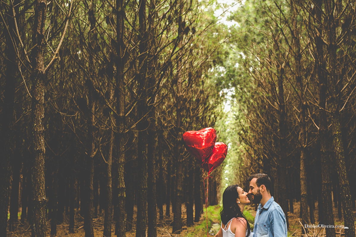 Fotógrafo Casamento Ensaio Blumenau